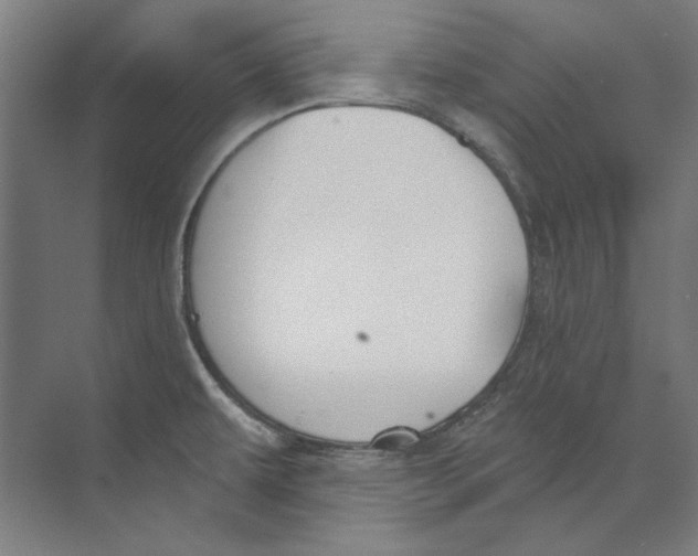 X0000073521479200608281720