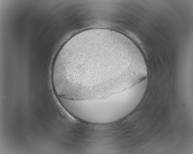 X0000073521480200608281720