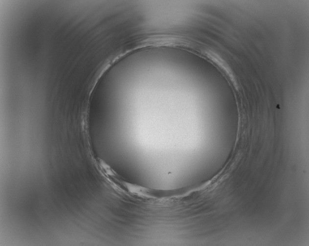 X0000073521481200608281720