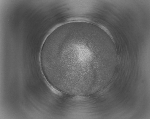 X0000073521482200608281720