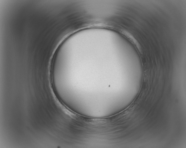 X0000073521483200608281720