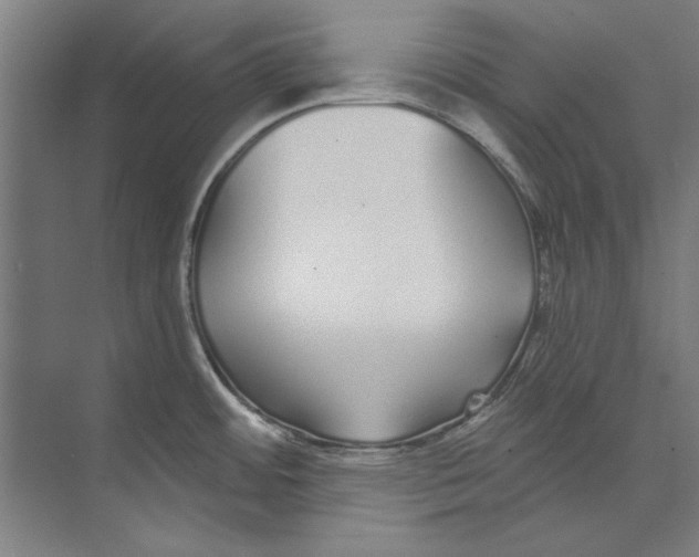 X0000073521484200608281720