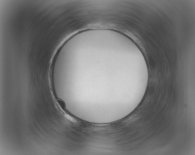 X0000073521486200608281720