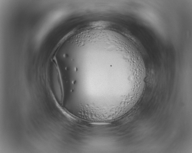 X0000073521487200608281720