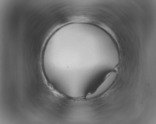 X0000073521488200608281720