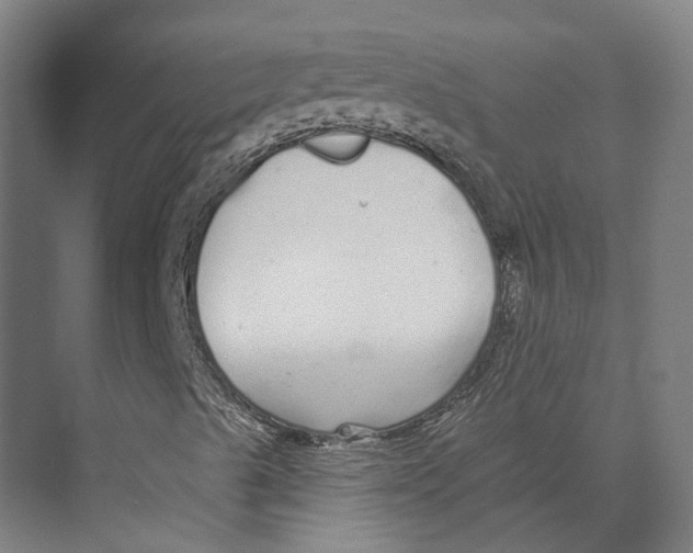 X0000073521489200608281719