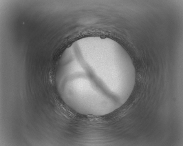 X0000073521490200608281719