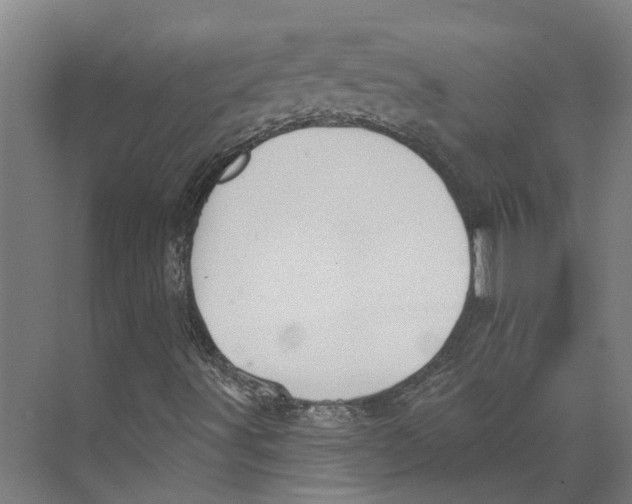 X0000073521491200608281719