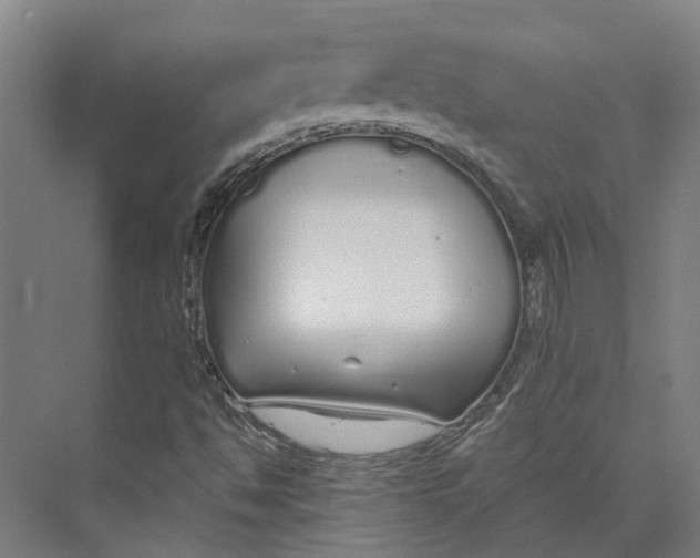 X0000073521494200608281719