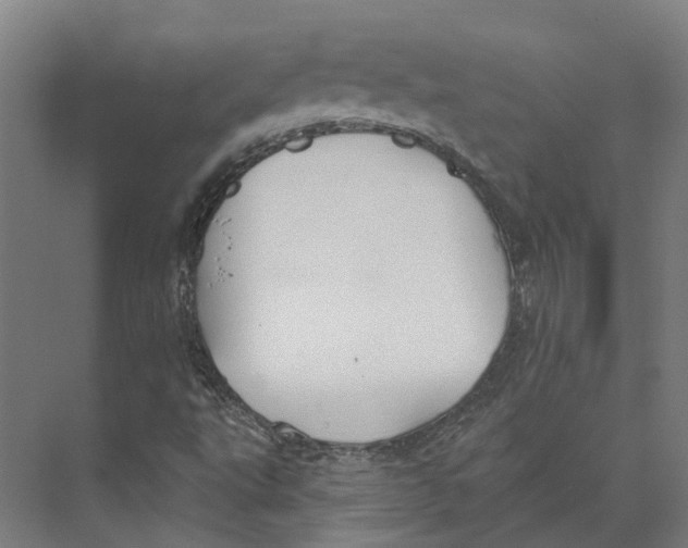 X0000073521495200608281719