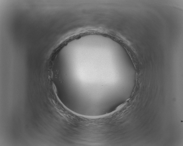 X0000073521496200608281719