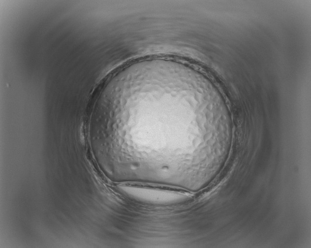 X0000073521497200608281719