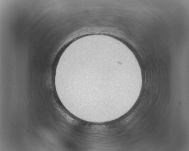 X0000073521498200608281719