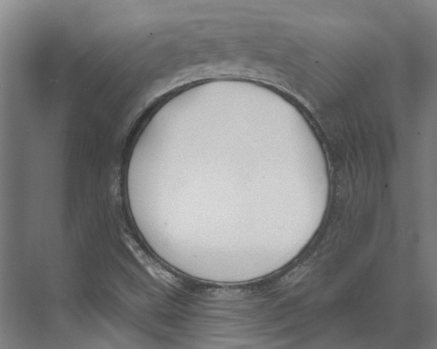 X0000073521499200608281719