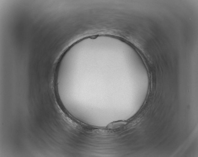 X0000073521500200608281719