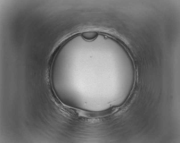 X0000073521501200608281719