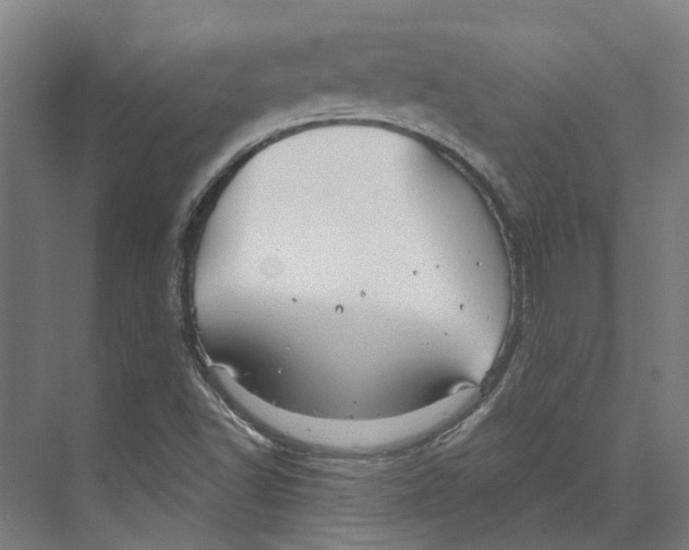 X0000073521502200608281719