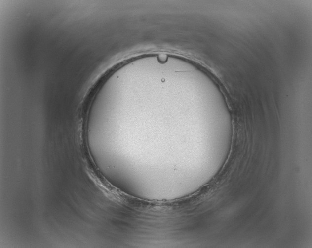 X0000073521503200608281719