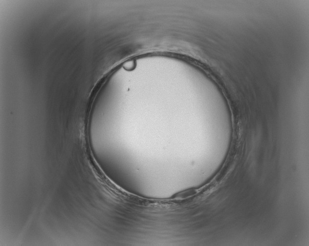 X0000073521505200608281719