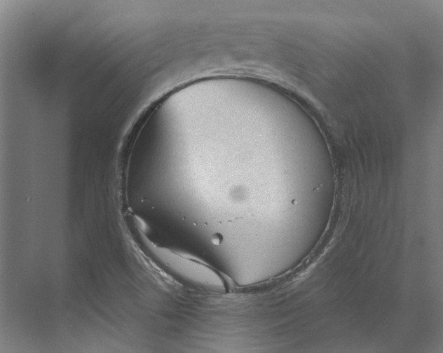 X0000073521506200608281719