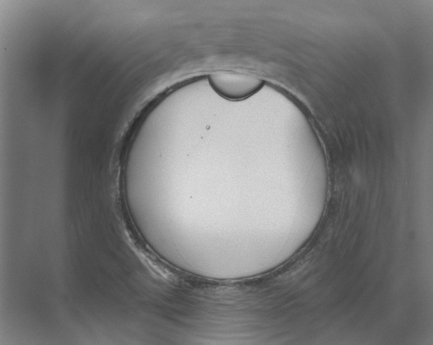 X0000073521507200608281719