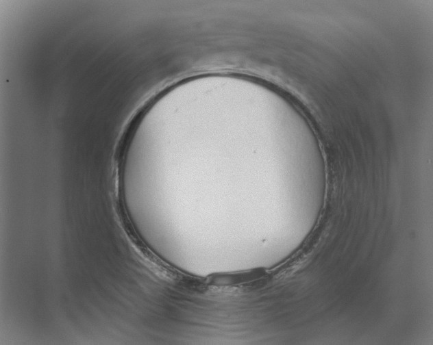 X0000073521509200608281720