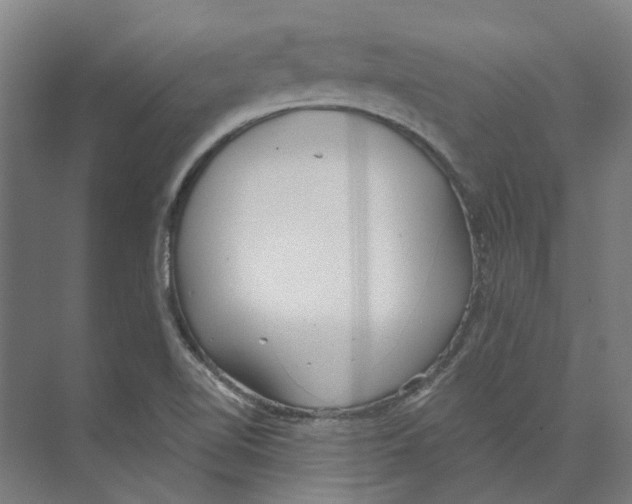 X0000073521510200608281720