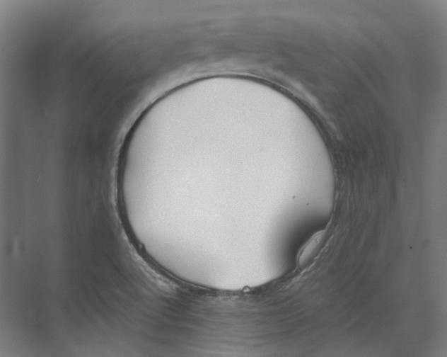 X0000073521512200608281720