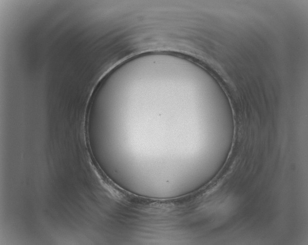 X0000073521513200608281720