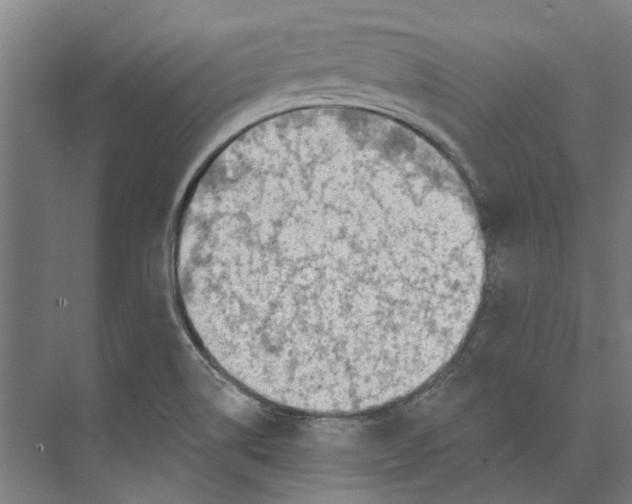 X0000073521514200608281720