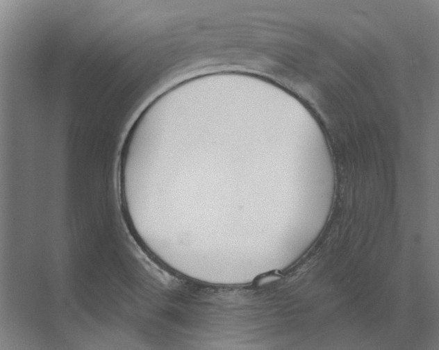 X0000073521516200608281720