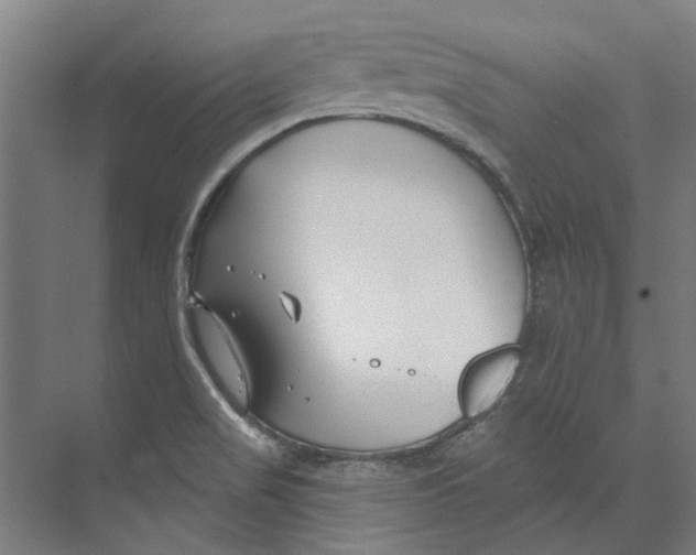 X0000073521517200608281720