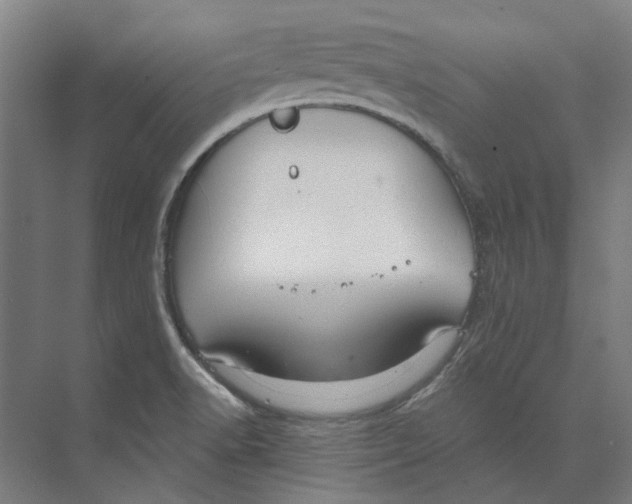 X0000073521518200608281720