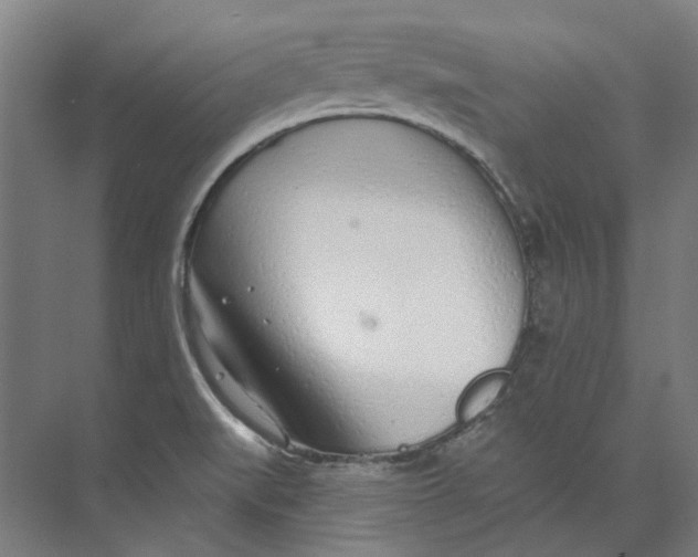 X0000073521519200608281720