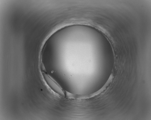 X0000073521520200608281720