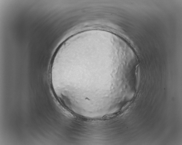 X0000073521522200608281720