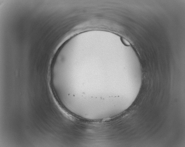 X0000073521523200608281720