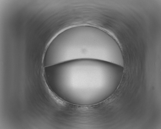 X0000073521524200608281720