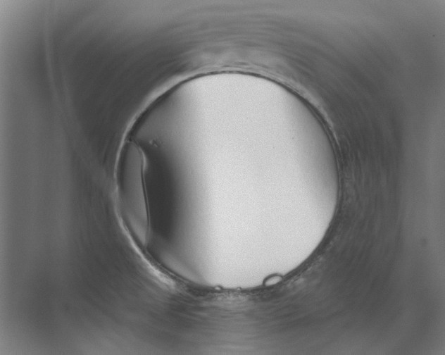 X0000073521525200608281720