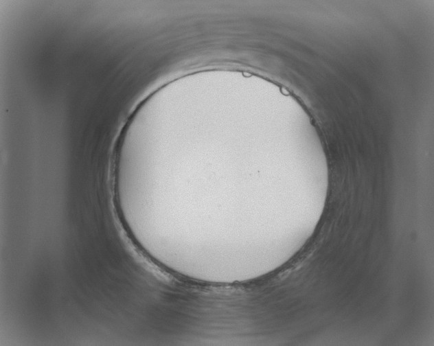 X0000073521526200608281720