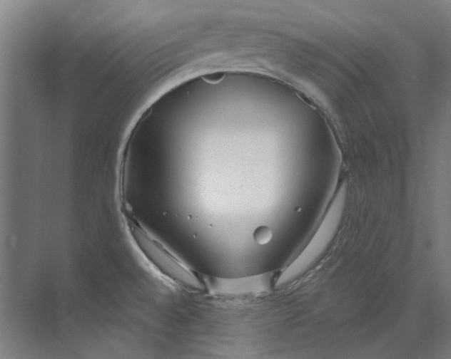 X0000073521528200608281720