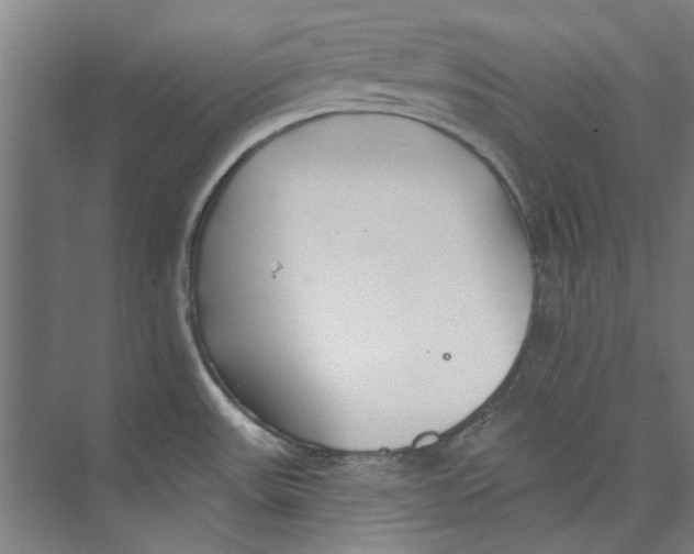 X0000073521531200608281720