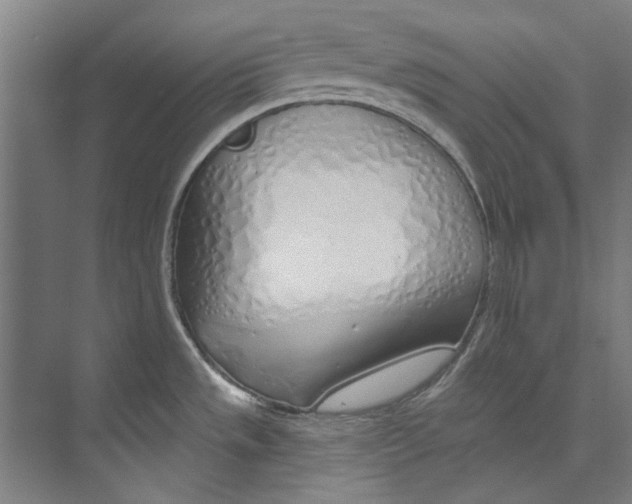 X0000073521533200608281720