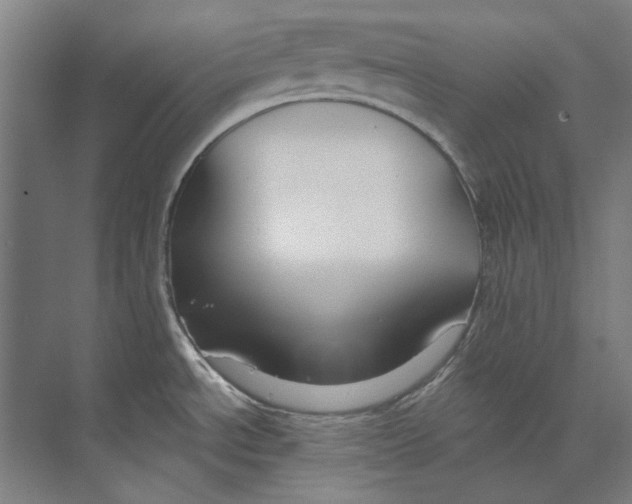 X0000073521534200608281720