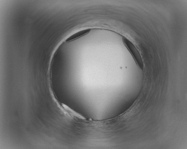 X0000073521536200608281720