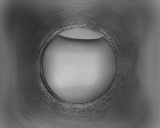 X0000073530002200607311027