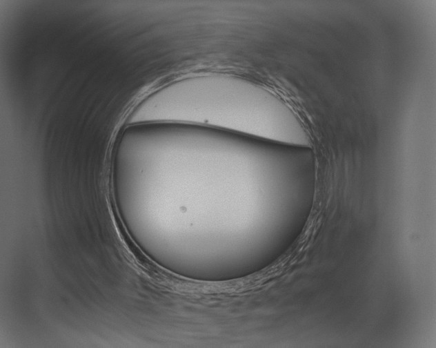 X0000073530003200607311027