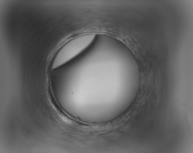 X0000073530005200607311027