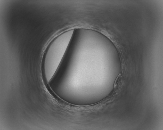 X0000073530007200607311027