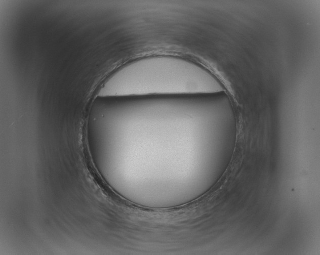 X0000073530010200607311027